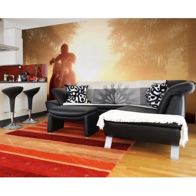 Fotomural Motor FMO011 2