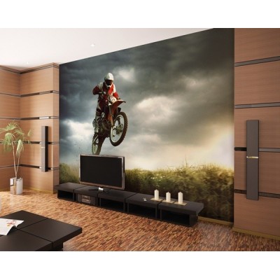 Fotomural Motor FMO017 2