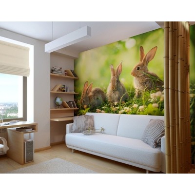 Fotomural Coelhos FAN026 2