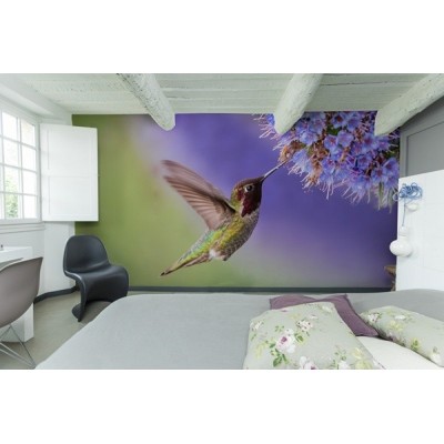 Fotomural Pájaro FAN028