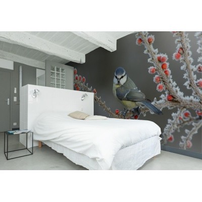 Fotomural Pájaro FAN029