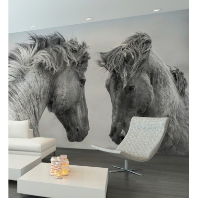 Fotomural Cavalo FAN030 2