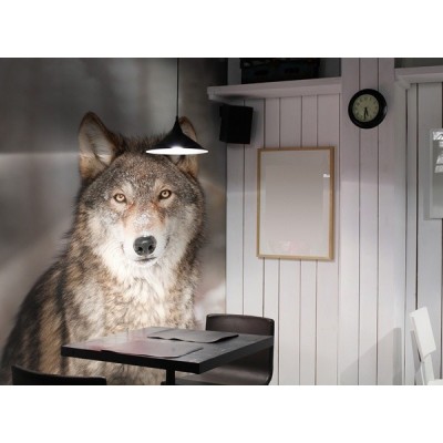 Fotomural Lobo FAN032 2