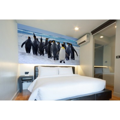 Fotomural Pinguins FAN033 2