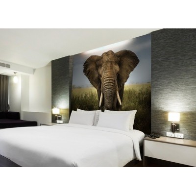 Fotomural Elefante FAN034