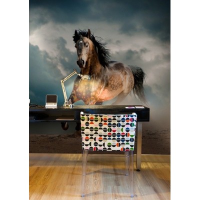 Fotomural Caballo FAN035 2