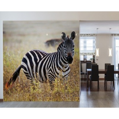Fotomural Zebra FAN036 2