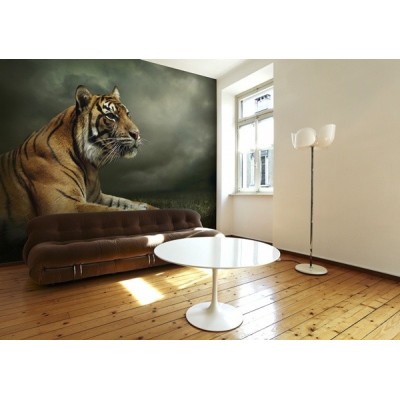 Fotomural Tigre FAN037