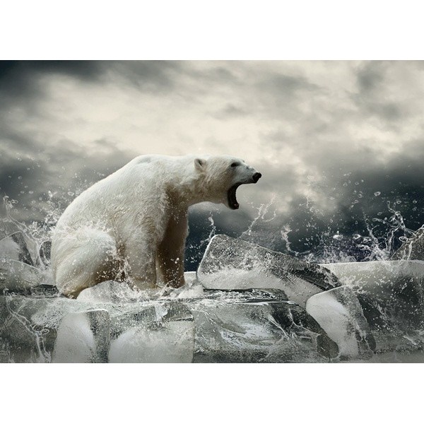 Fotomural Urso Polar FAN038