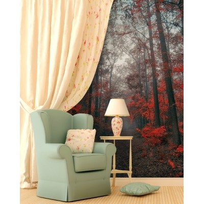 Fotomural Sendero Bosque FPR027 2