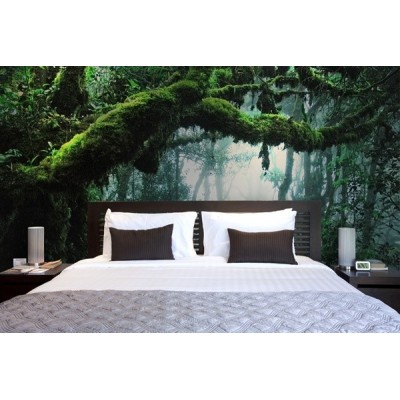 Fotomural Floresta Tropical FPR028 2