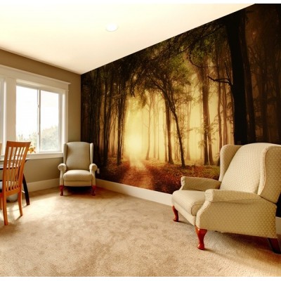 Fotomural Floresta do Outono FPR029 2