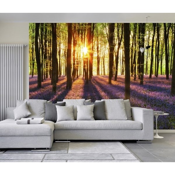 Fotomural WOODLAND AT DAWN