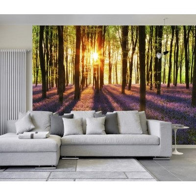 Fotomural WOODLAND AT DAWN