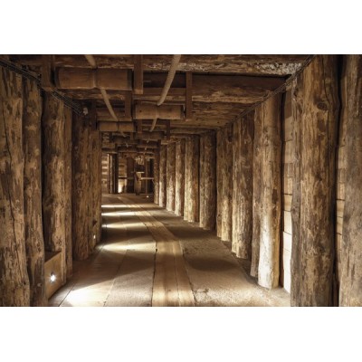 Fotomural SALT MINE MTB-0221