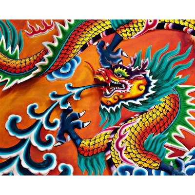 Fotomural DRAGON Fotomural DRAGON