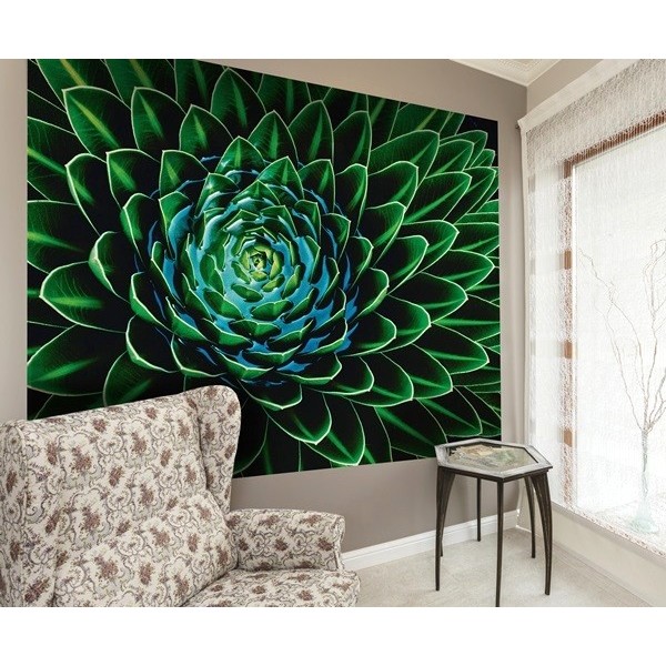 Fotomural SENICO NIVALIS  Fotomural SENICO NIVALIS