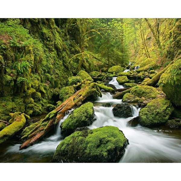 Fotomural GREEN CANYON CASCADES