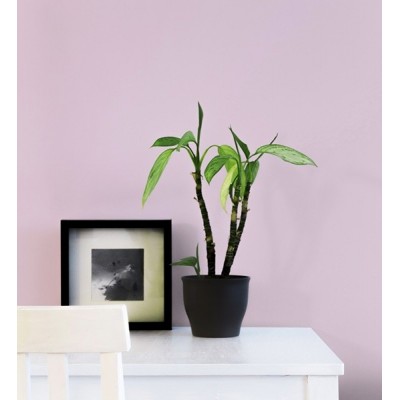 Papel de parede VALLILA 4986-3