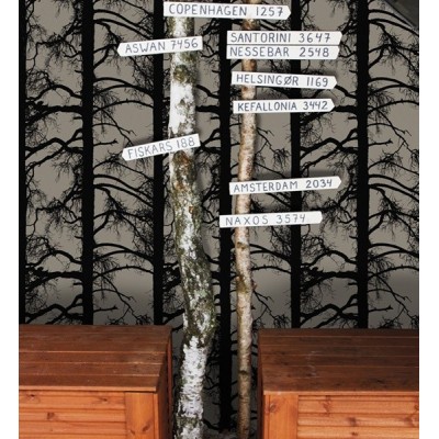 Papel de parede VALLILA 4985-4 2