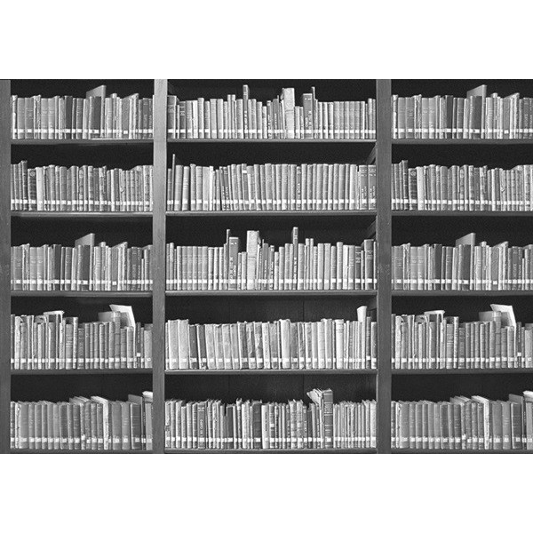 Fotomural BOOKSHELF 001