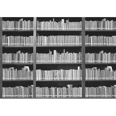 Fotomural BOOKSHELF 001