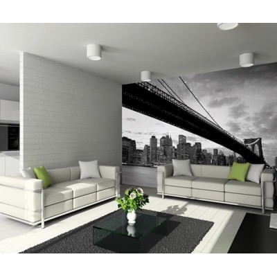 Fotomural NEW YORK B007