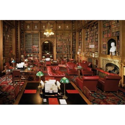 Fotomural LIBRARY 001