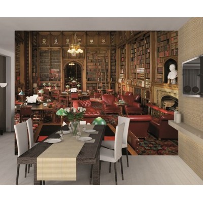 Fotomural LIBRARY 001 2