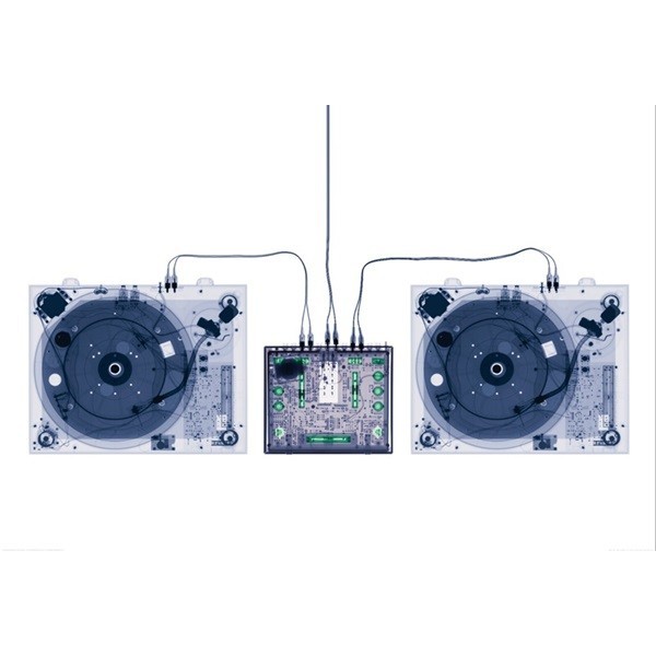 Fotomural XRAYDRECKS L001