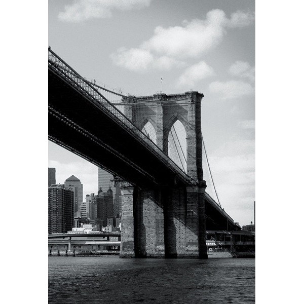 Fotomural NEW YORK TP008