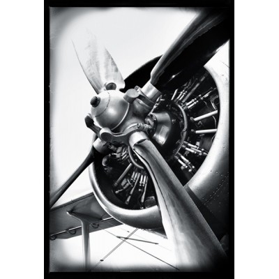 Fotomural AVIATOR TP001