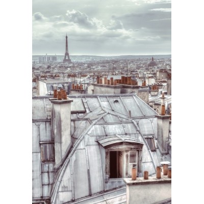 Fotomural W2P PARIS 003