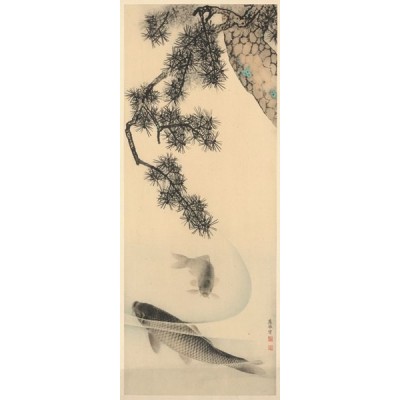 Fotomural KOI Fotomural KOI