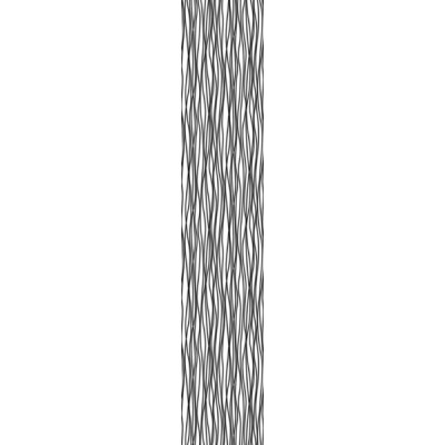 Fotomural ZEBRA