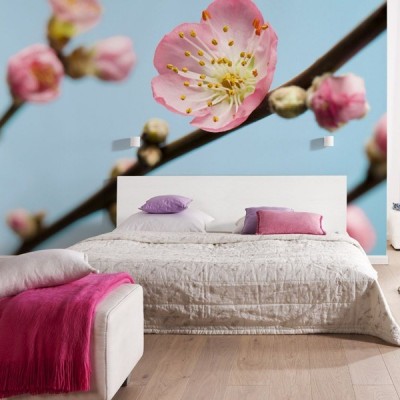 Fotomural PEACH BLOSSOM 2