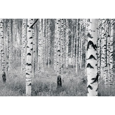 Fotomural WOODS