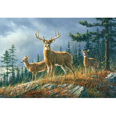 Fotomural AUTUMN WHITETAILS Fotomural AUTUMN WHITETAILS