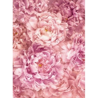 Fotomural SOAVE XXL2-009