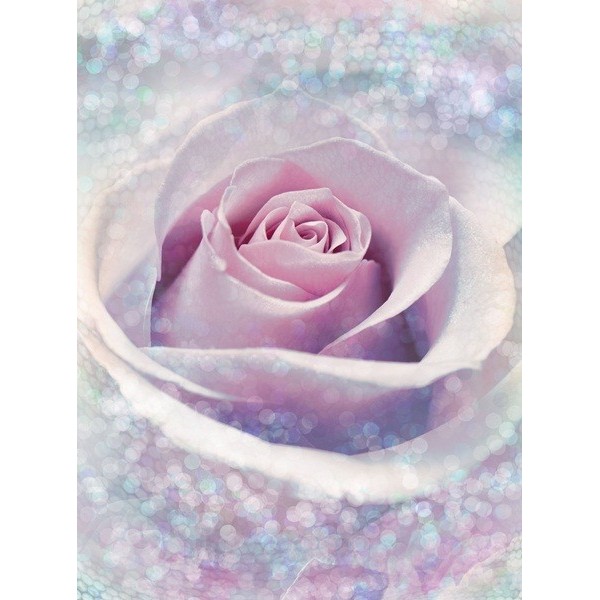 Fotomural DELICATE ROSE XXL2-020