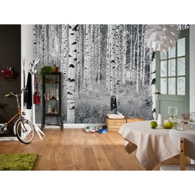 Fotomural WOODS XXL4-023 2