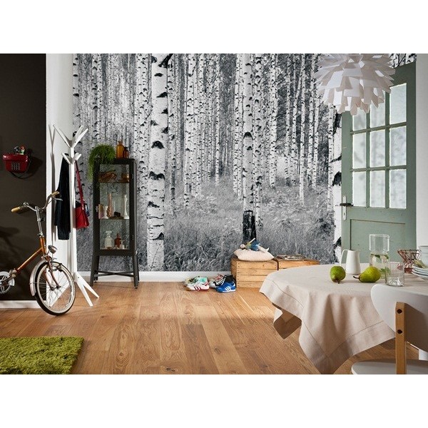 Fotomural WOODS XXL4-023 Fotomural WOODS XXL4-023