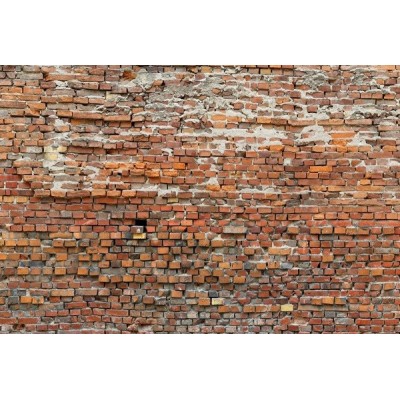 Fotomural BRICKLANE XXL4-025