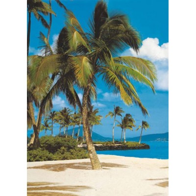 Fotomural HAWAII