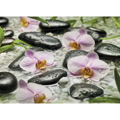 Fotomural WELLNESS