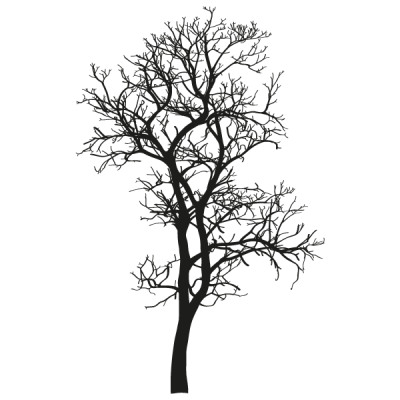 Vinil Decorativo Moderno MO077