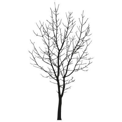 Vinilo Decorativo Moderno MO078