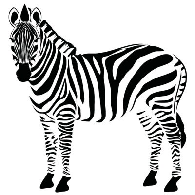 Vinil Decorativo Moderno MO097