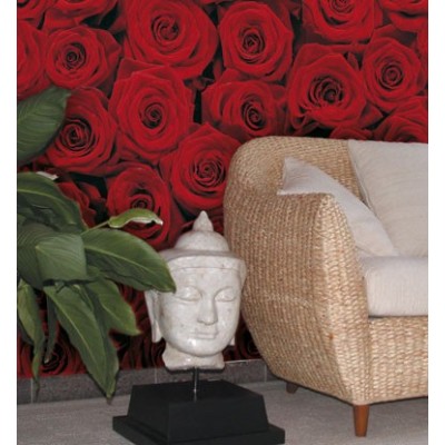 ROSES 2