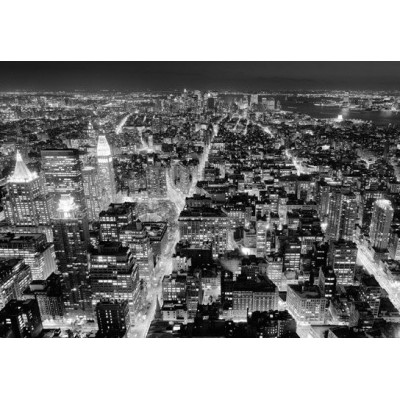 FROM THE EMPIRE STATE BUILDING